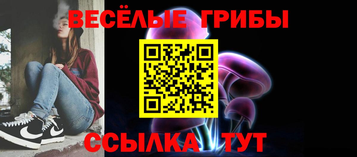 Галлюциногенные грибы GOLDEN TEACHER  Вход с VPN  закладка  Заводоуковск 