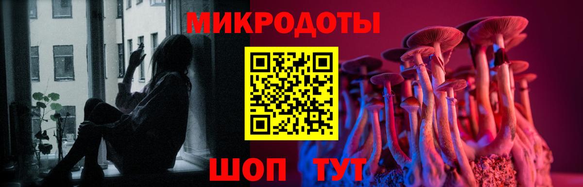 Галлюциногенные грибы GOLDEN TEACHER Заводоуковск